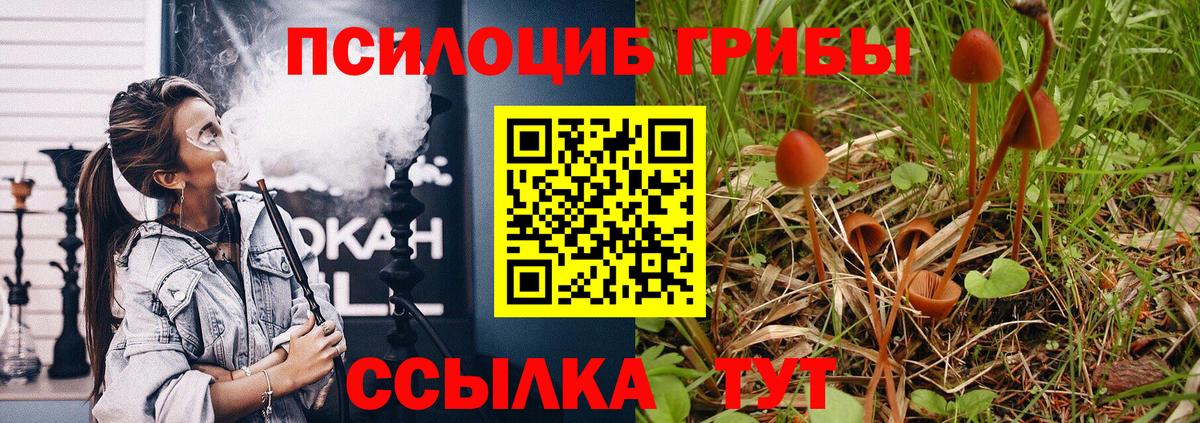 Псилоцибиновые грибы мухоморы Черногорск